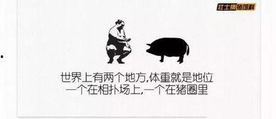 娱乐吃瓜群文案搞笑版